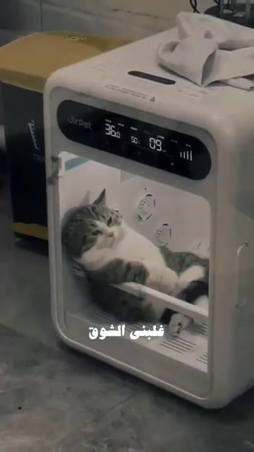 @mohamd