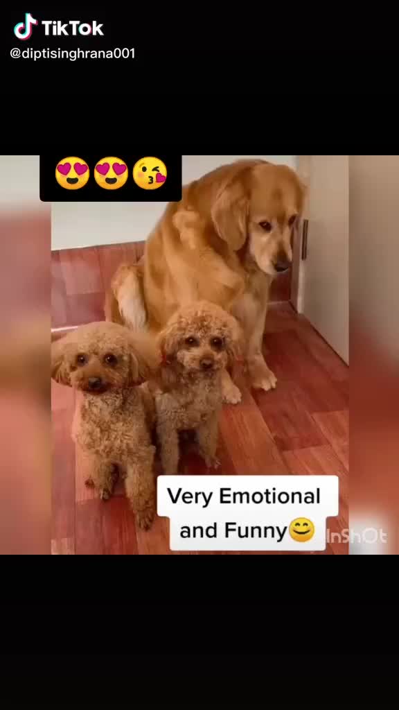 @Sukirti Thakur