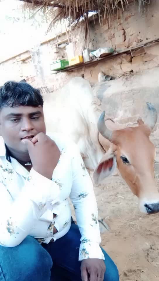 @Navin H Navin H