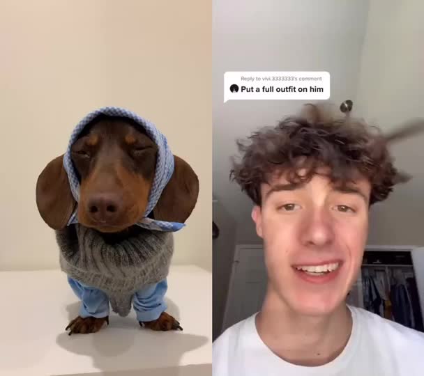 @Pip The Sausage 🤍