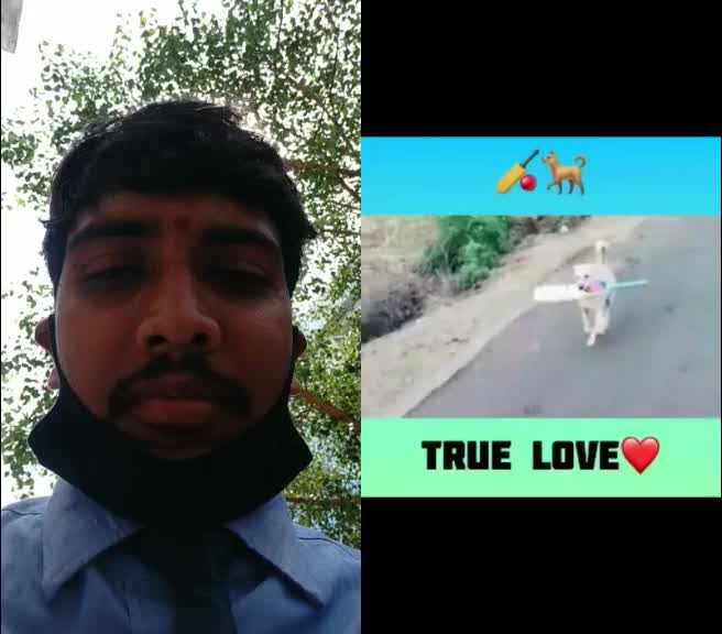 @sunnychary5434