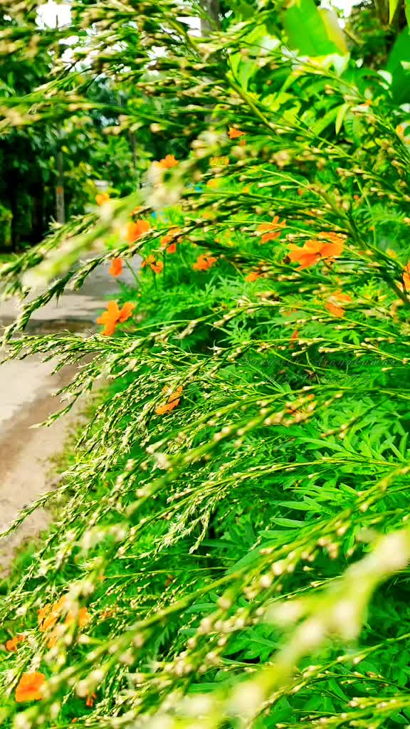 @sangeeth_sachu