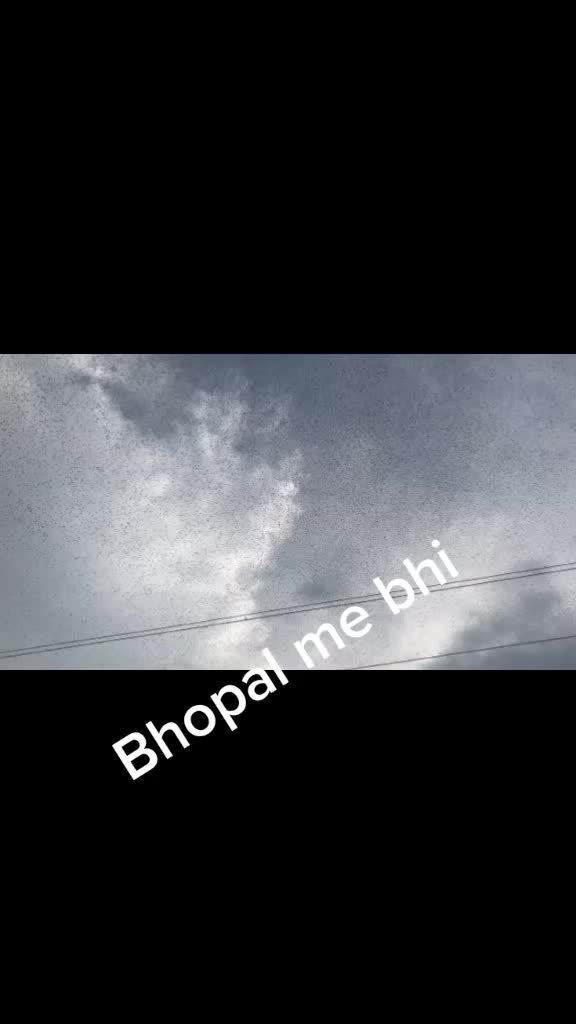 @deepakpagalbhopali