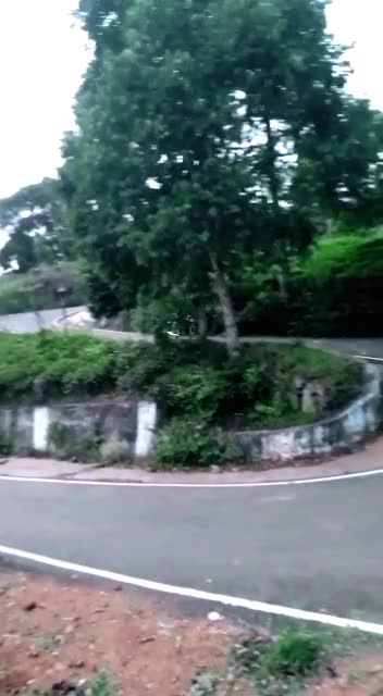 @Sangee Santhosh