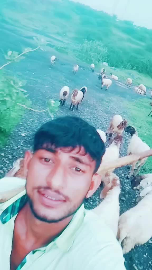 @seja_k_kodiyatar