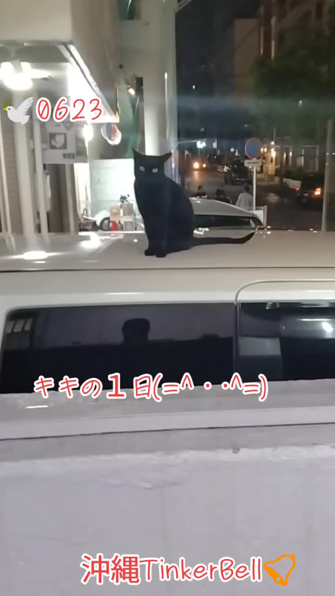 @沖縄セクキャバティンカーベル