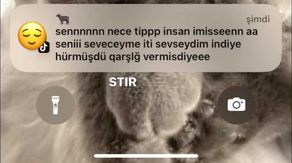 @•๐๐พ๐ท๐ฎ๐ตโ