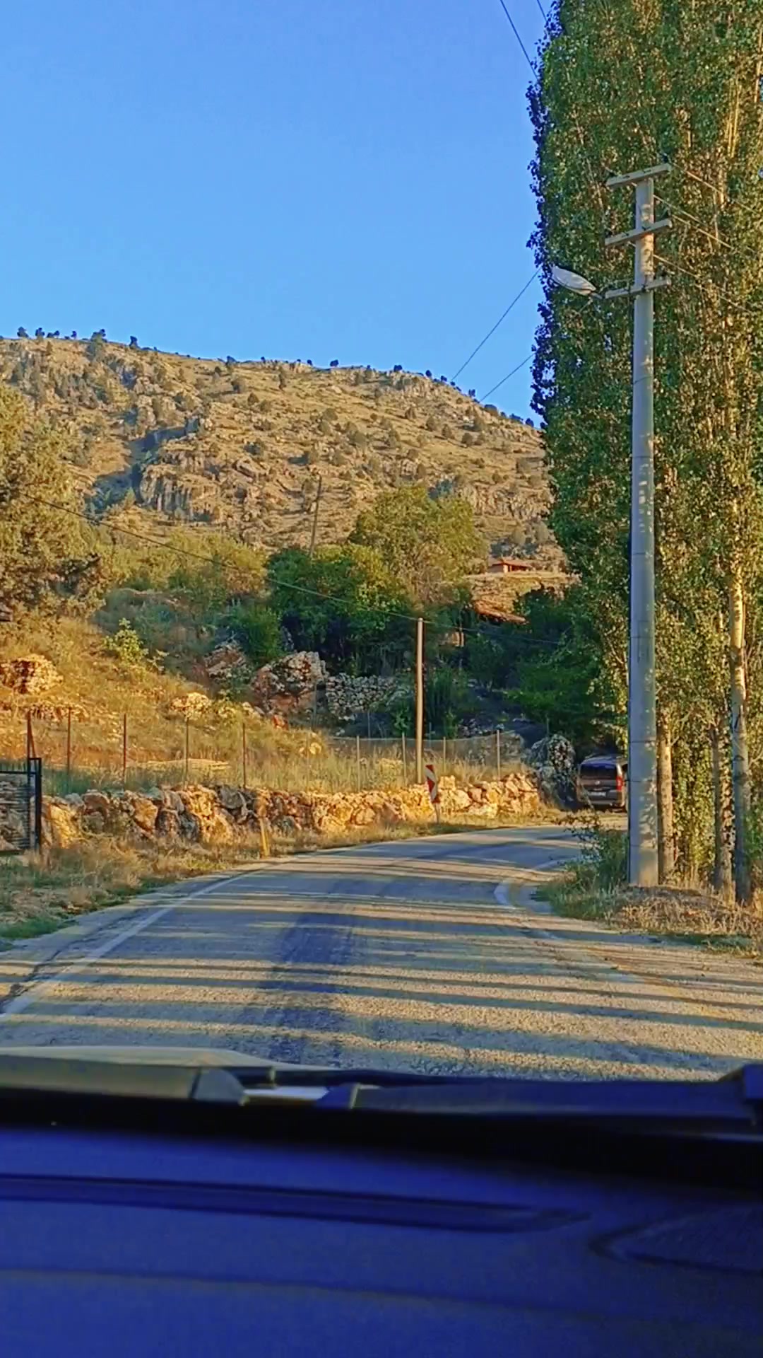 @Ömer Soylu