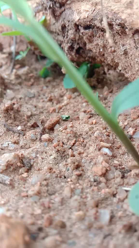 @ShivaMudhiraj