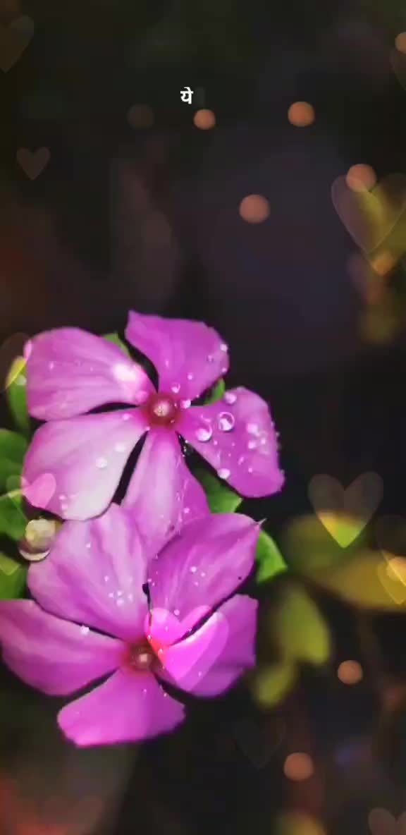 @parajuuu