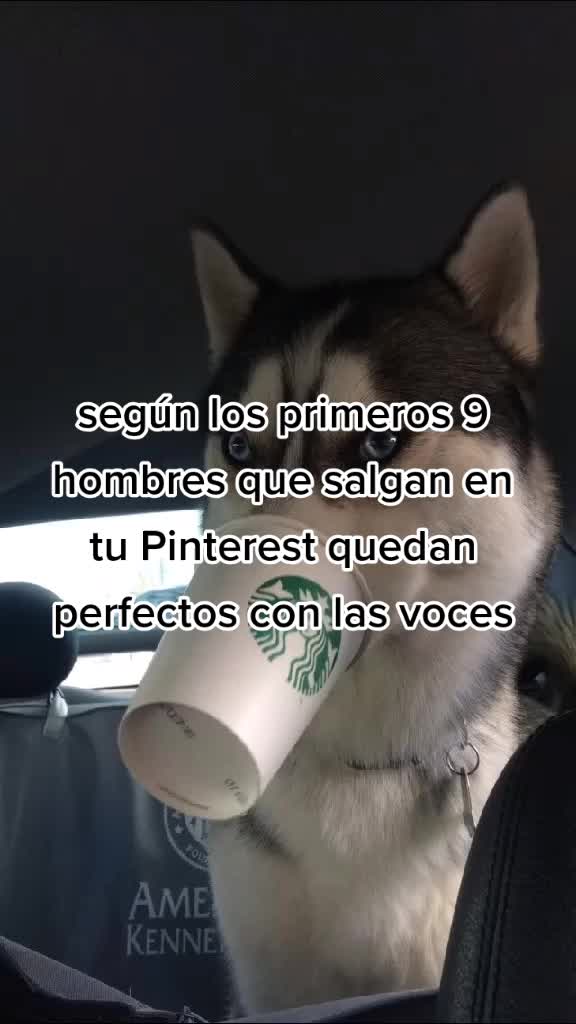 @QUETI🧚