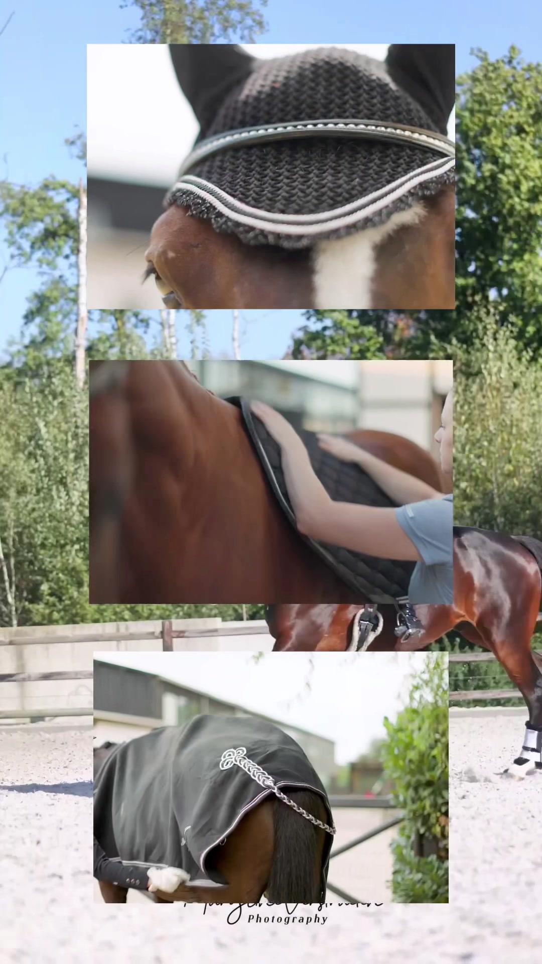 @Schwarze Equestrian