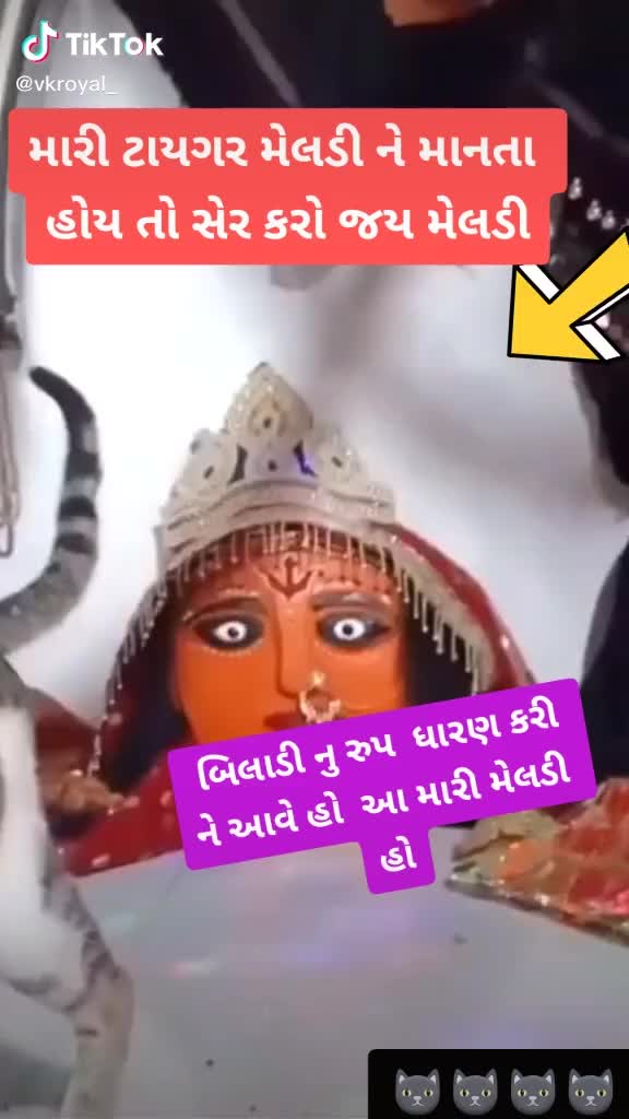 @tanmay Tariya