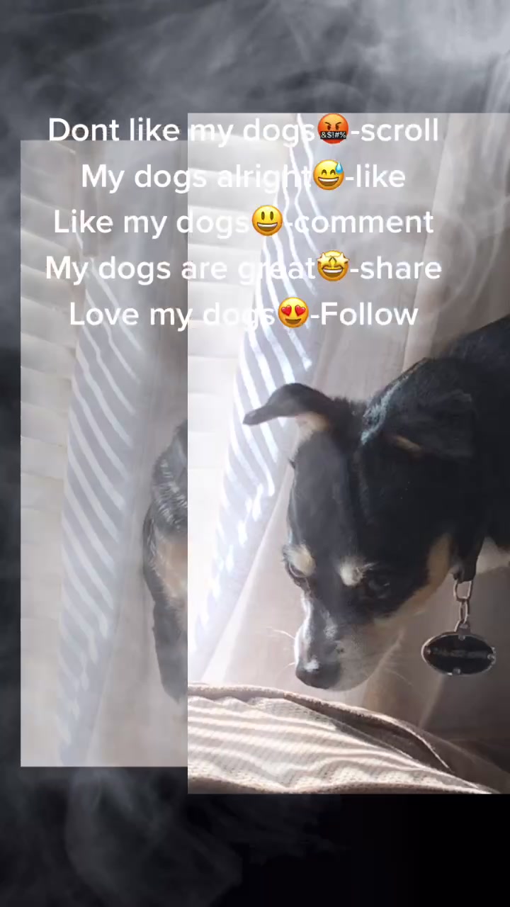 @DOGMasterHarley