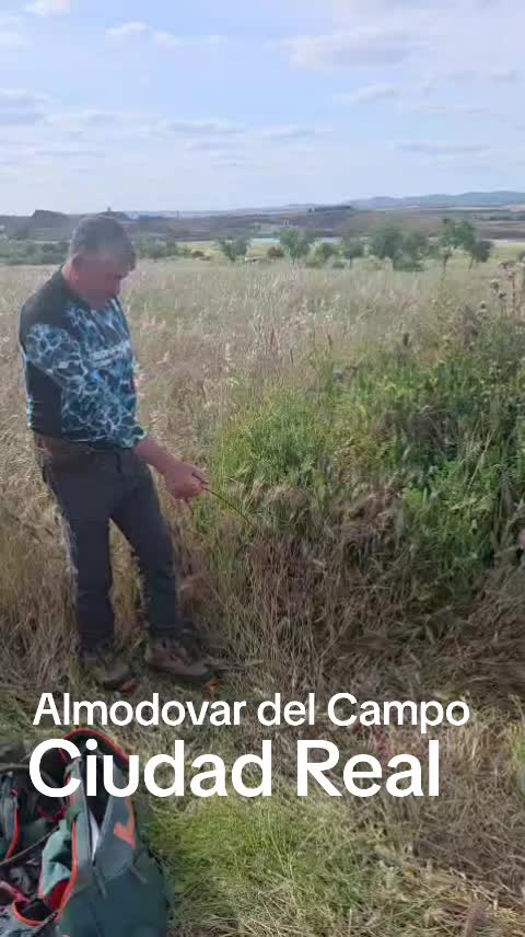 @Zahori Blas Moreno