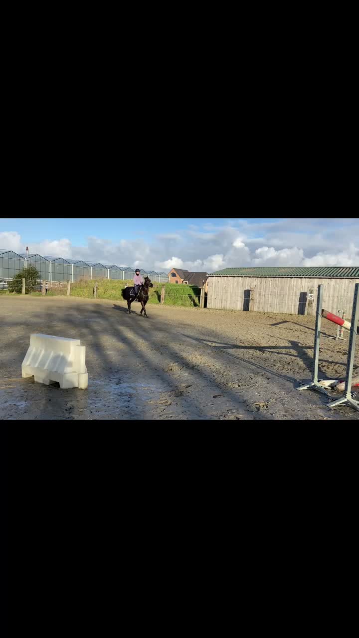 @Mirtevanhal
