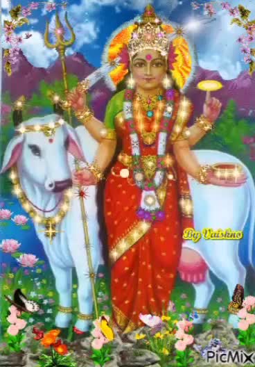 @prince_nimavat_17