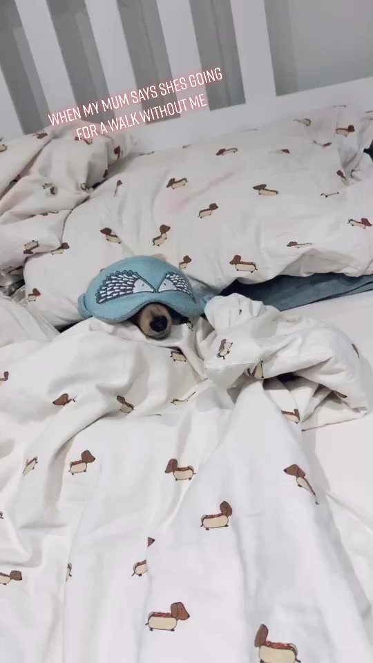 @Zarathesausage