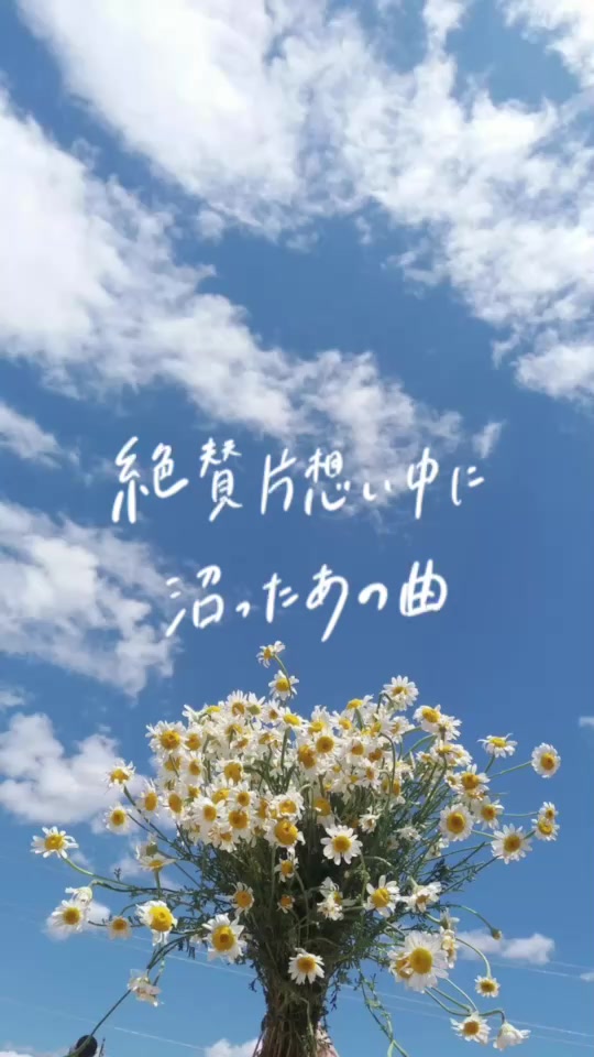@PLAYLISTの中の人 | 音楽紹介🎧