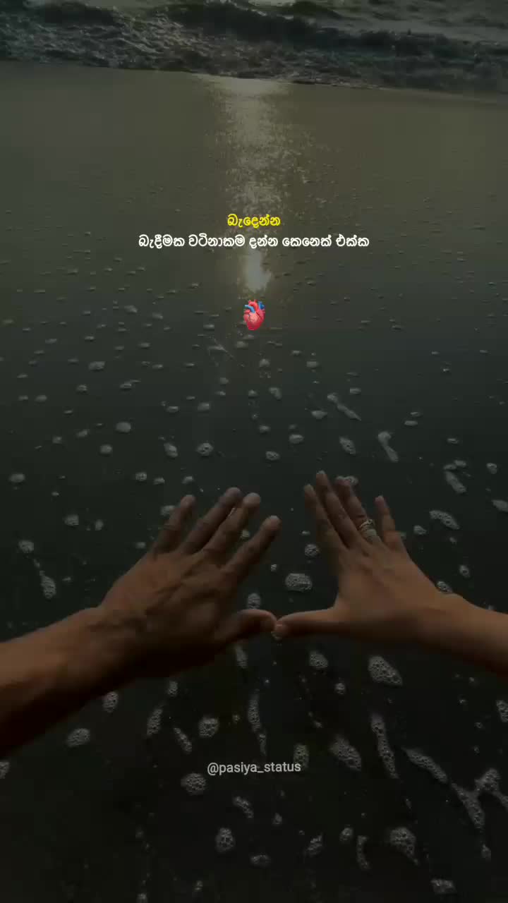 @𝗣𝗮𝘀𝗶𝗻𝗱𝘂 🤍 !