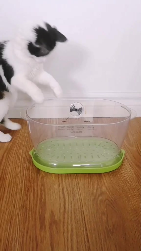 @If I fits I sits