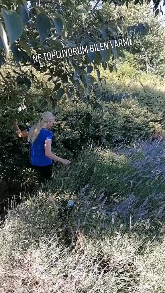 @Neşe Kılıc