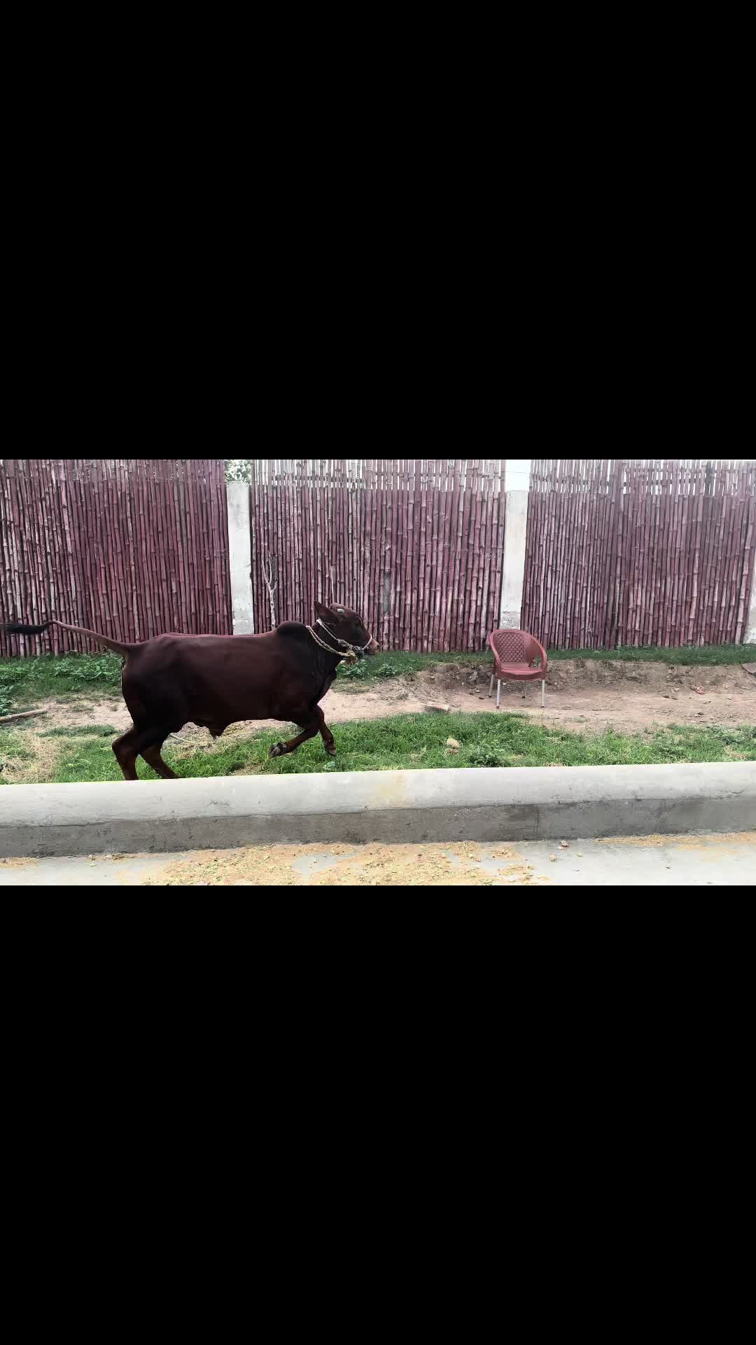 @ZA Farms