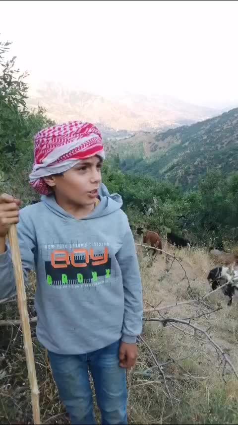 @kadirelmas3030