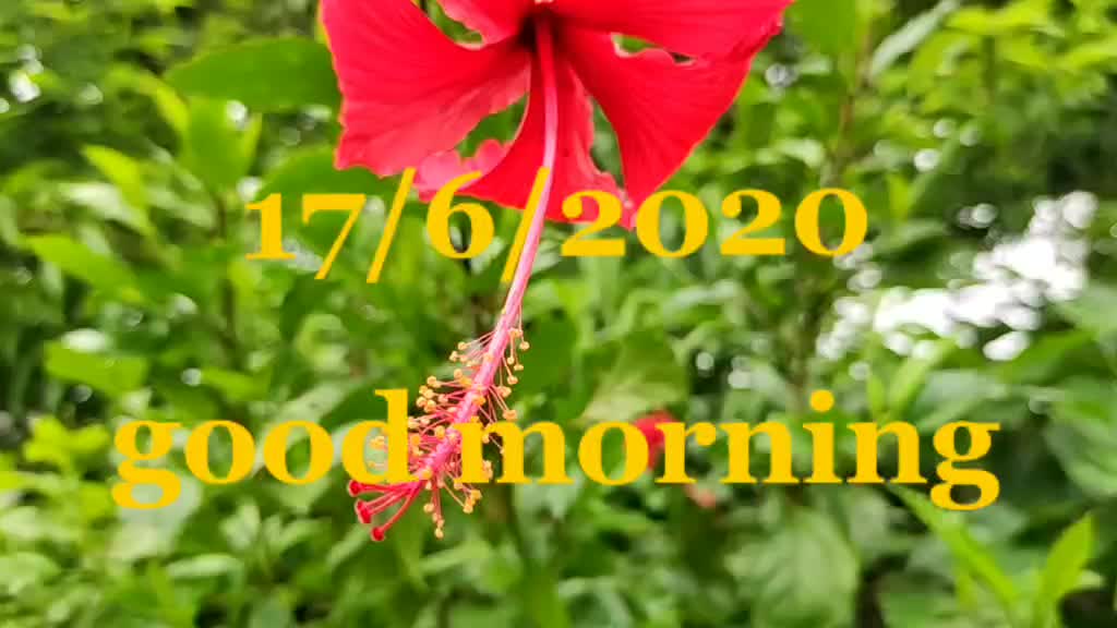 @Swapnil_Keskar