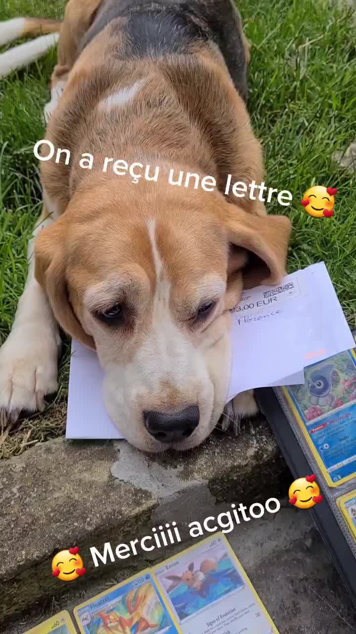 @zeldaline