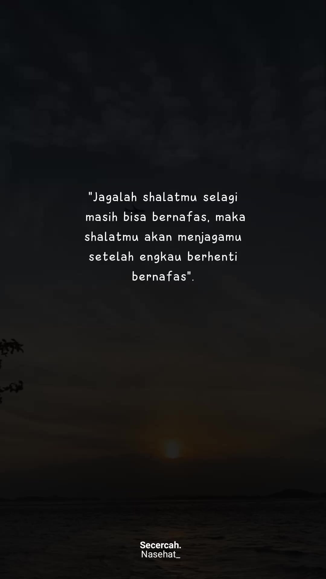 @secercah.nasehat_