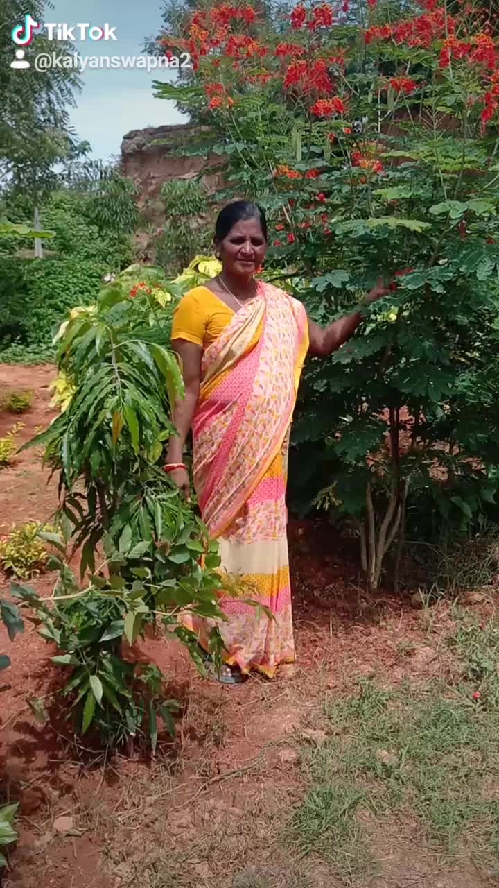 @user7395624499019