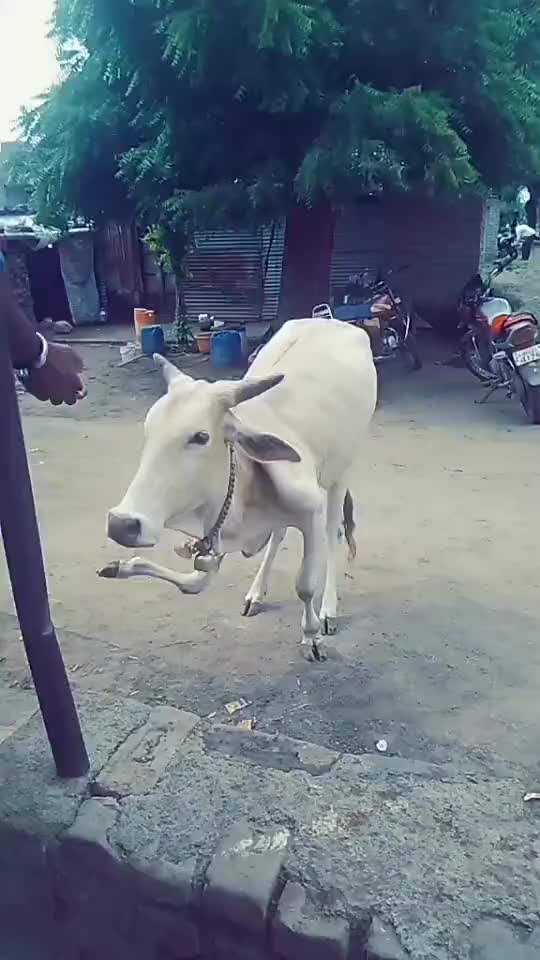 @Mr.Abhimanyu__s_01