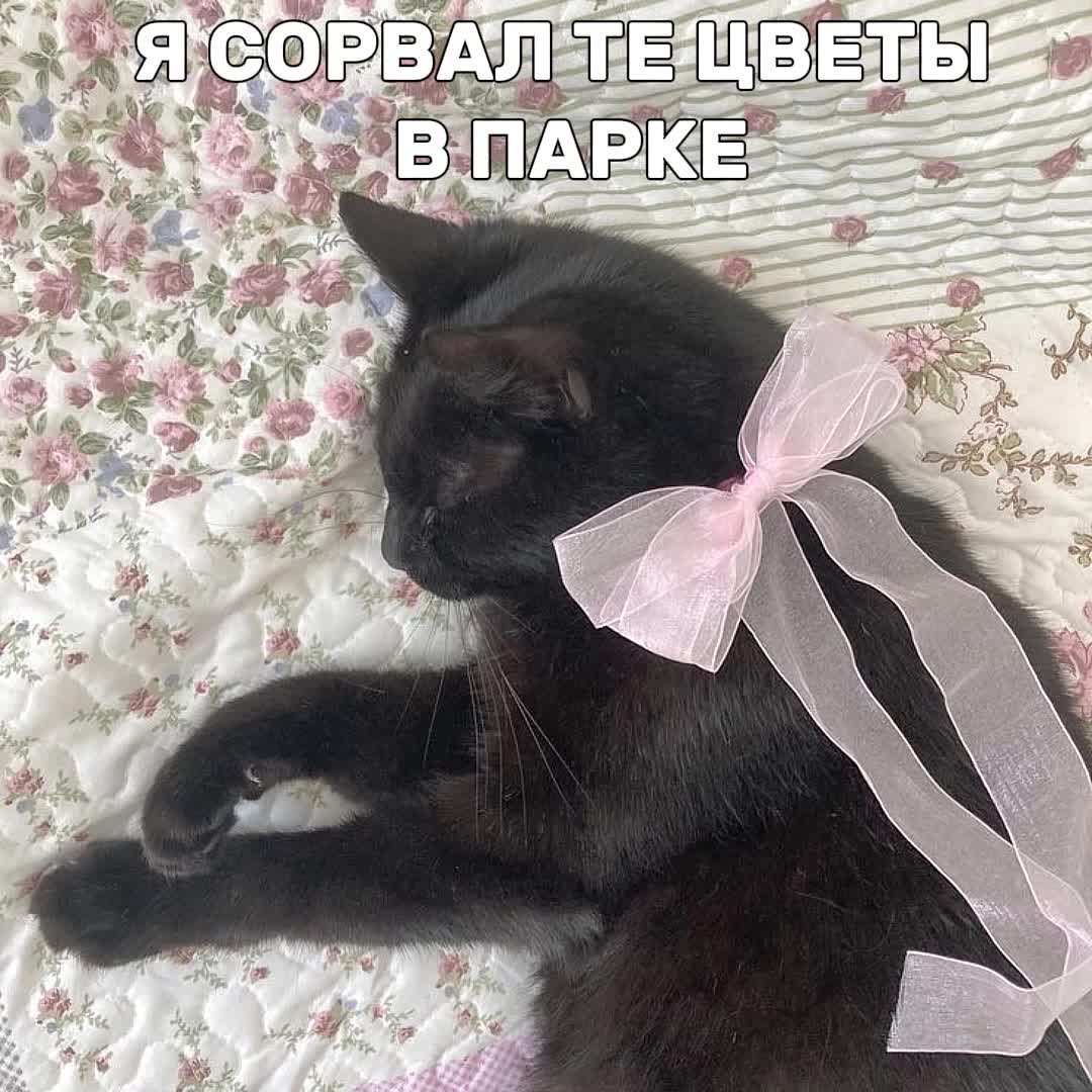 @ᶻ 𝘇 𝓵𝓲𝓼𝔀𝓮𝓷 🩹