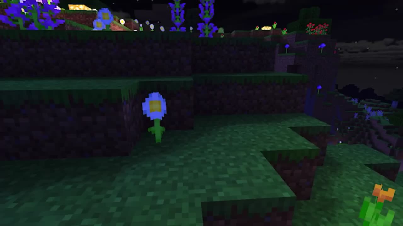 @SkyAnt123