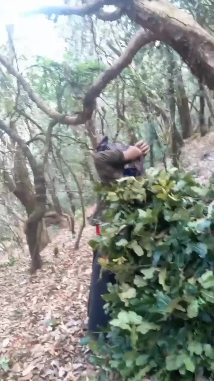 @debughartimagar93
