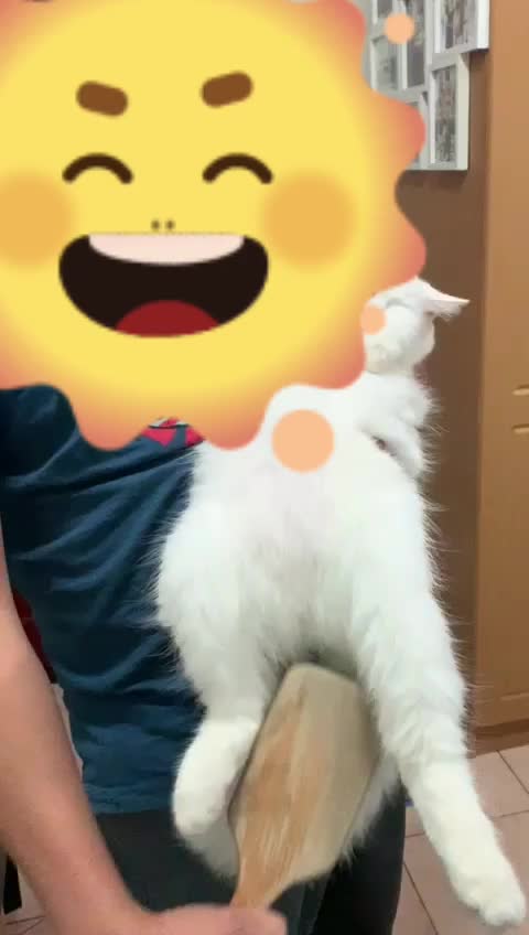 @SikongSimongChikong