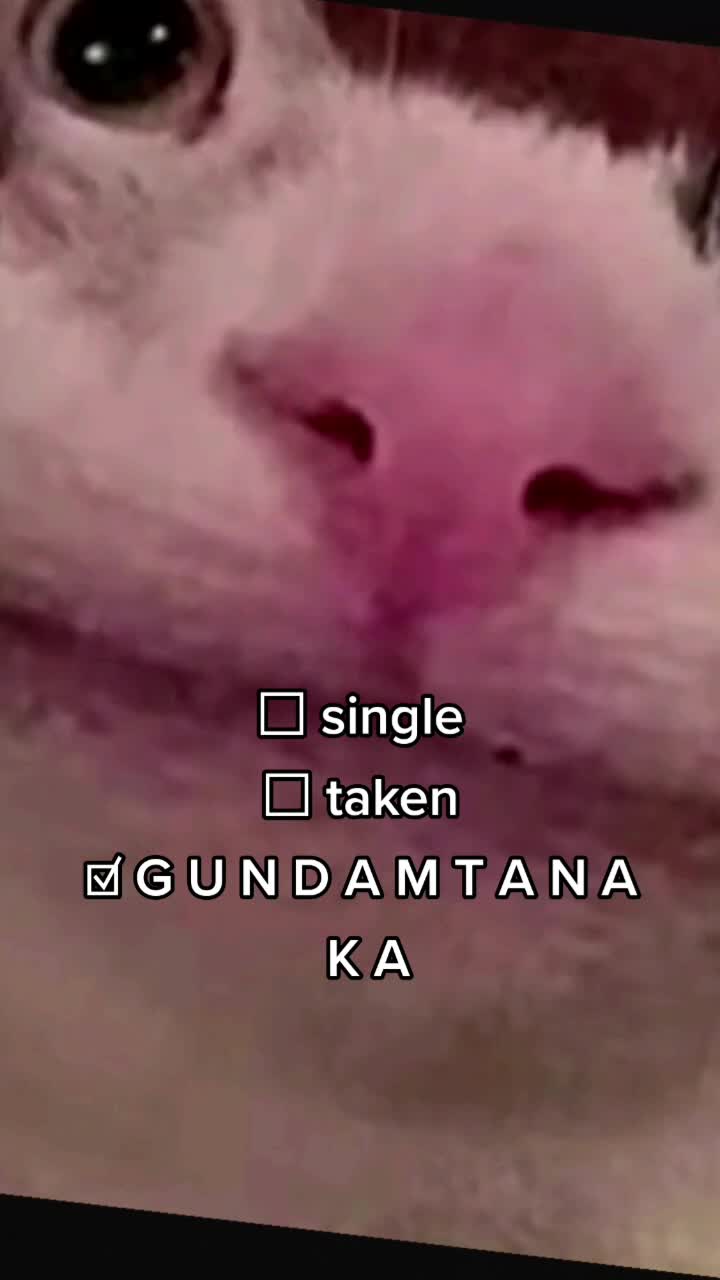 @woaaah
