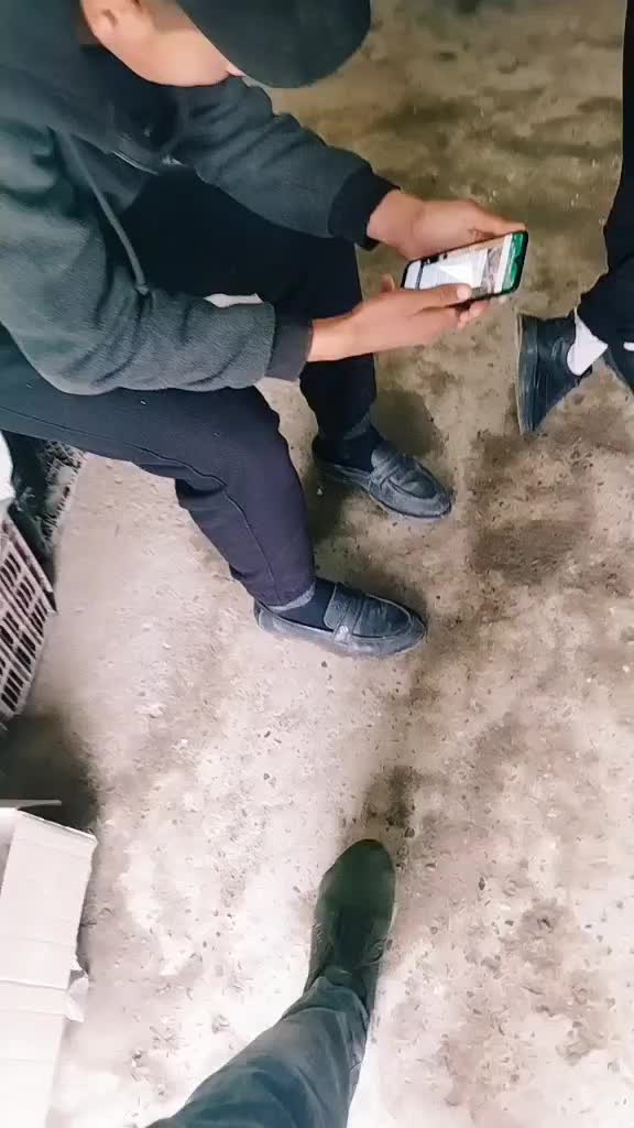 @user5343614165226