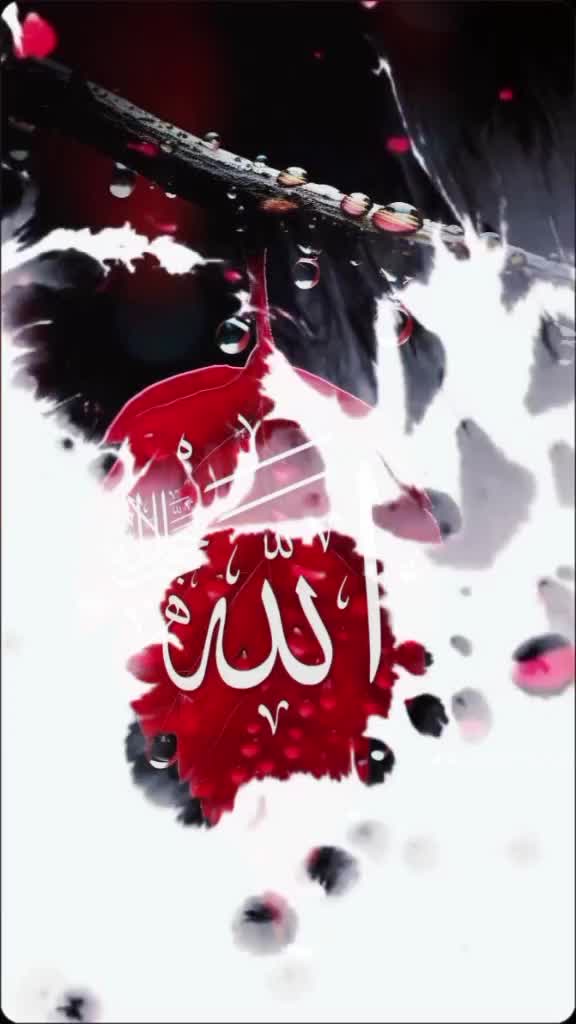 @Bilal Khan 035