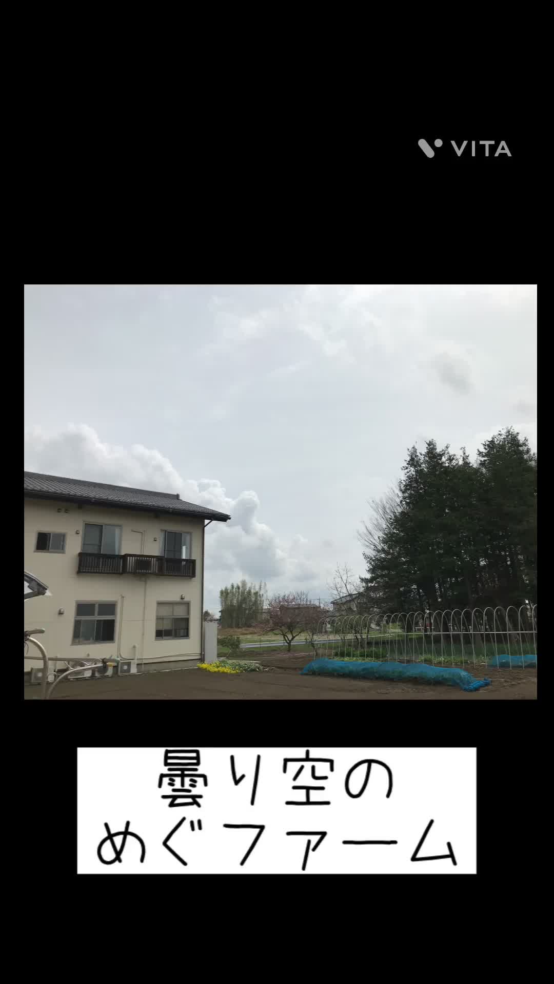 @めぐファームゴカ
