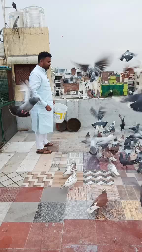 @Mohd Mahfooz