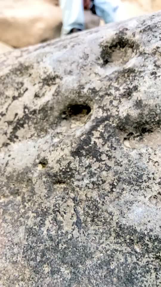 @Abhikaran 🦅