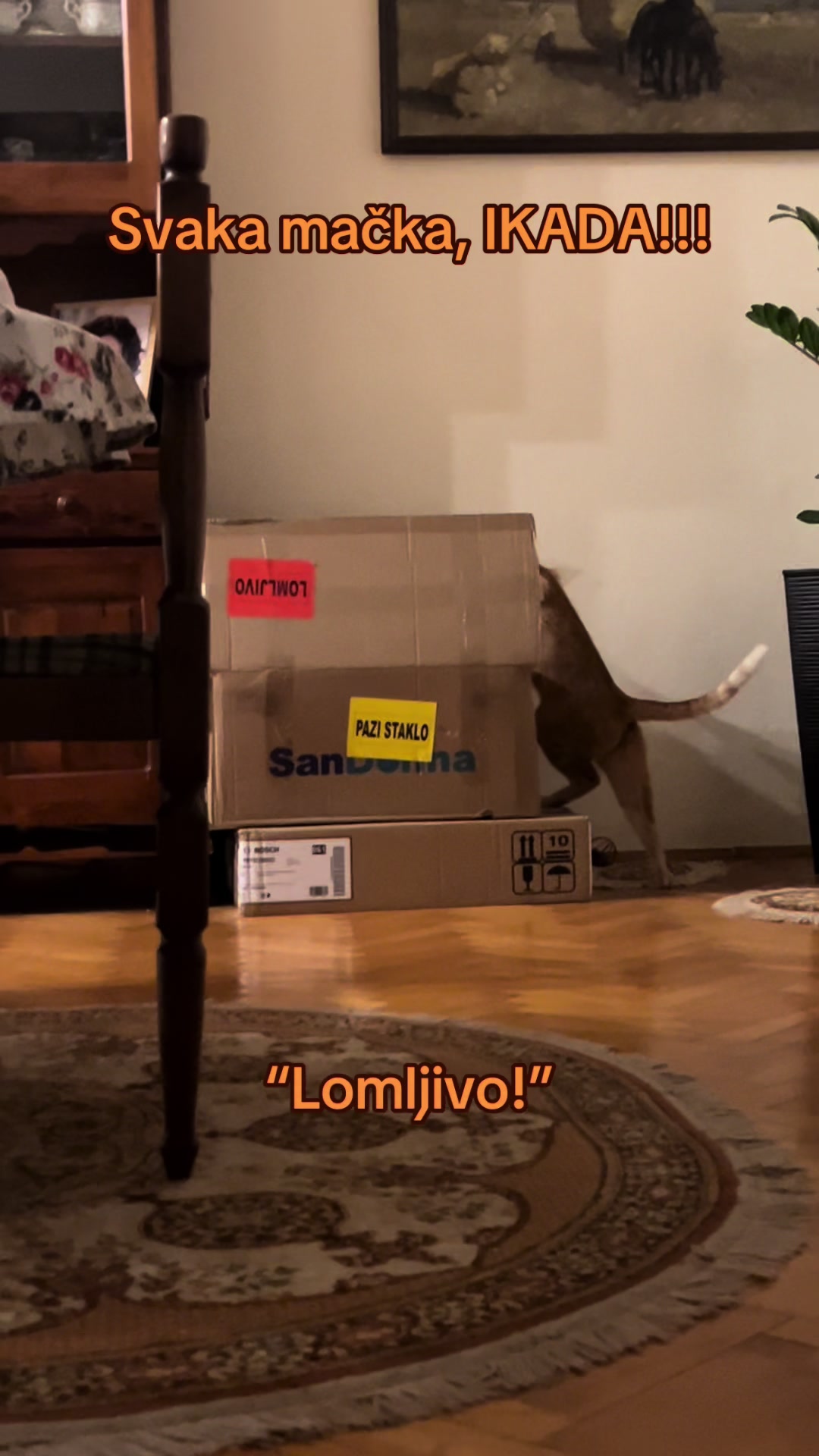 @Cezar, Loki i kompanija😹