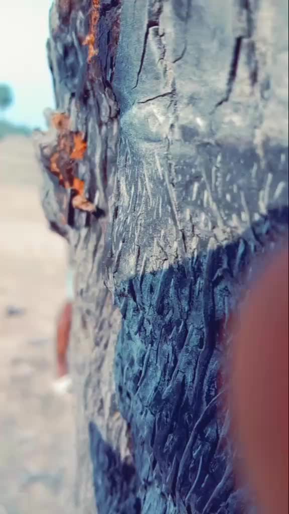 @Sathish.d