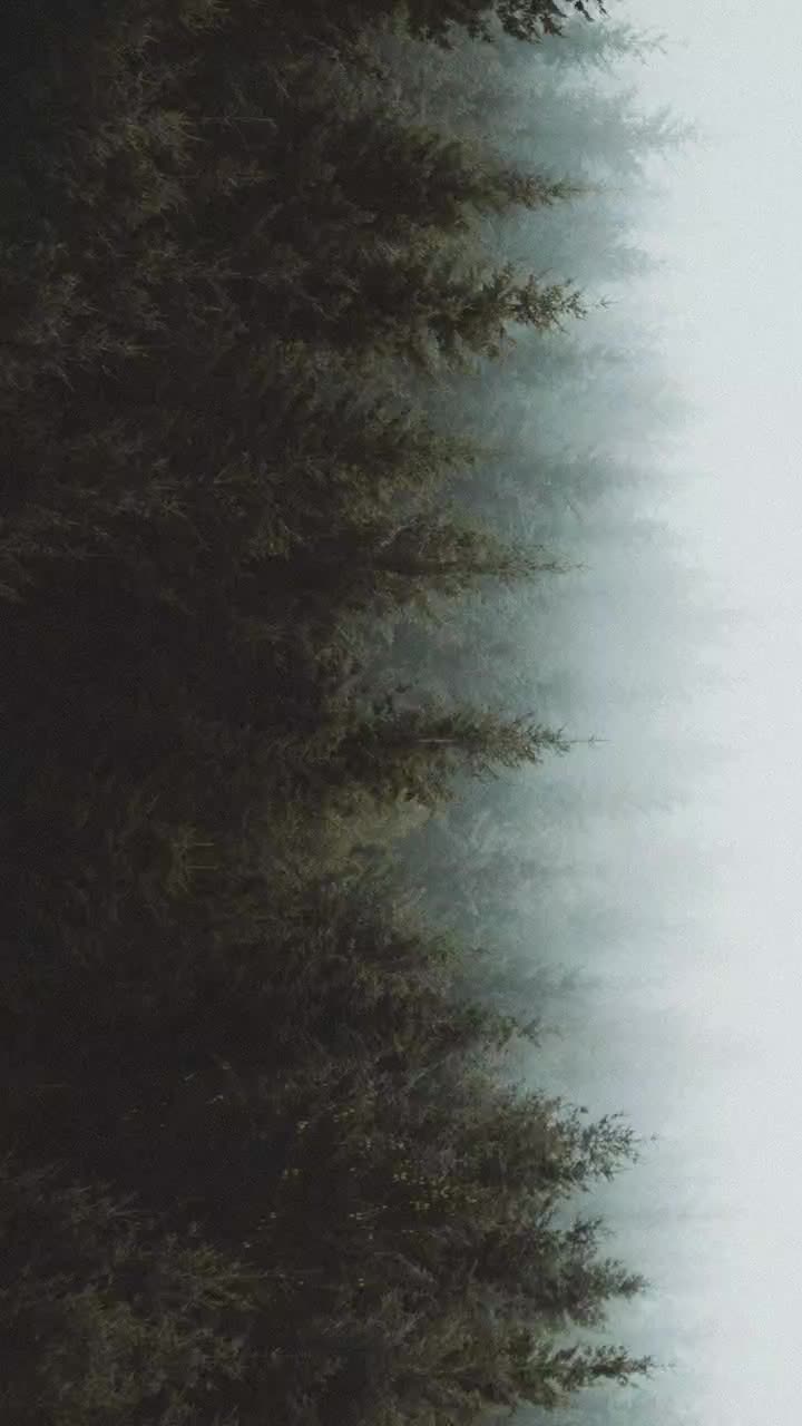 @Yuvaraja Magi