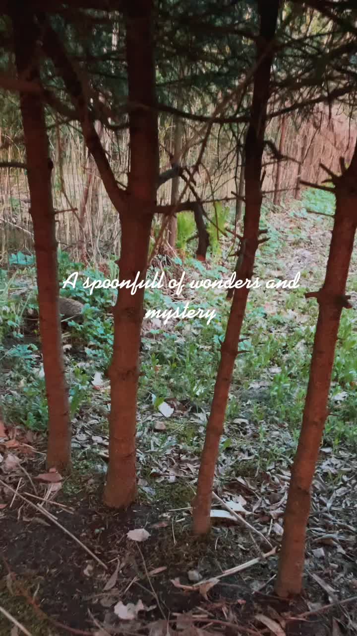 @sashaantsupich