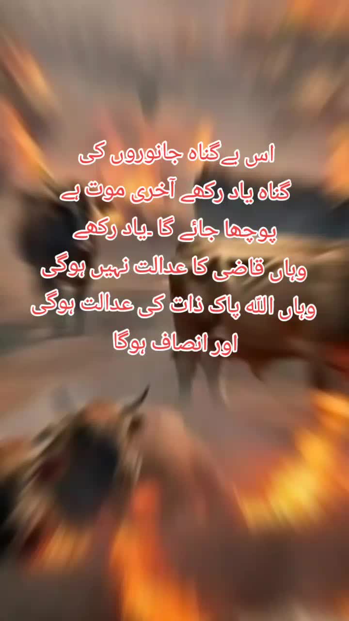@A.S.k.k