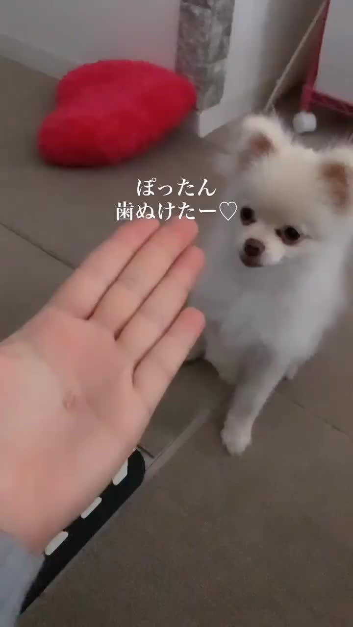 @ちーちゃん