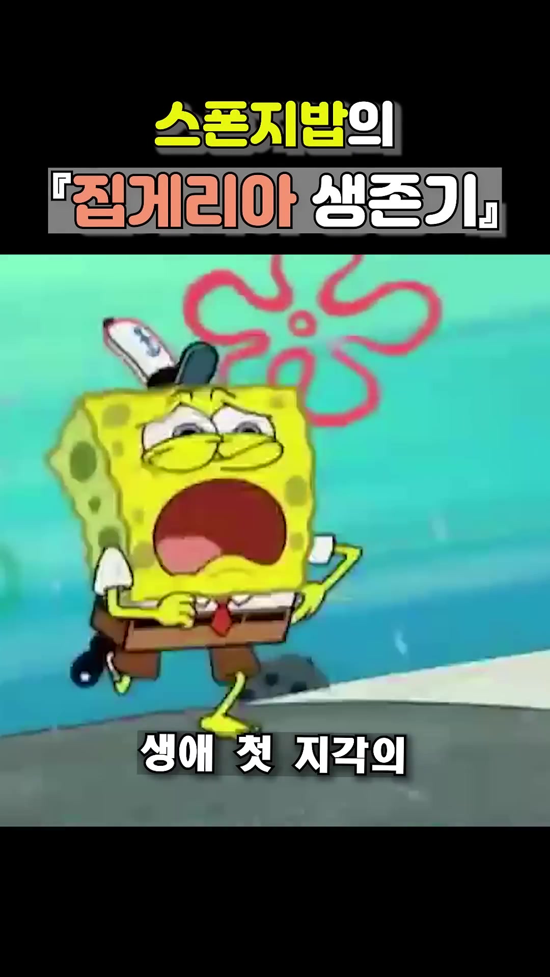 @스폰지밥